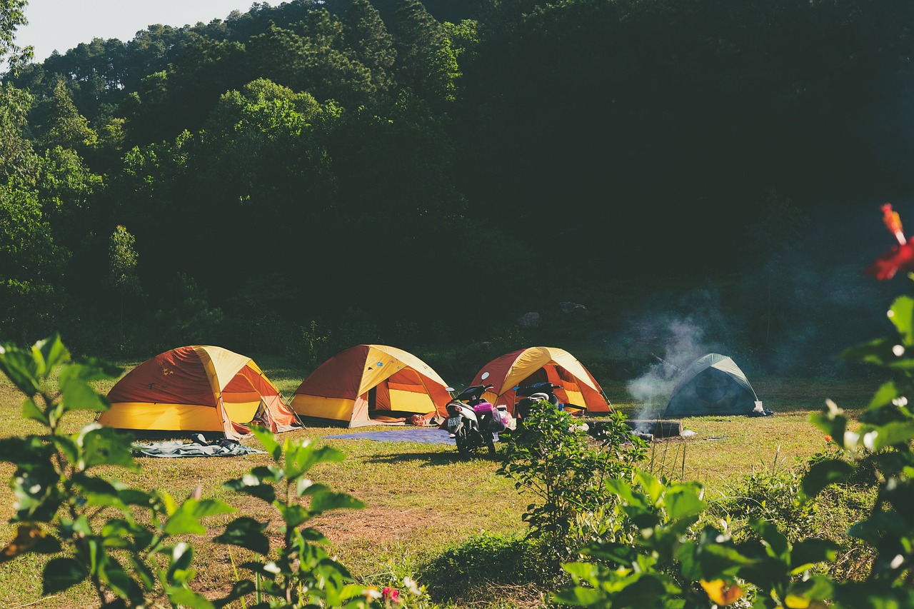 Comment contacter ARENA CAMPING ?